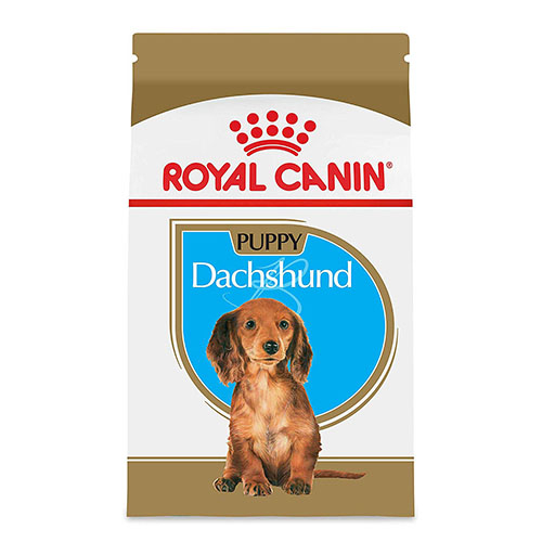 Royal Canin Dachshund Puppy - корм Роял Канін для цуценят такс