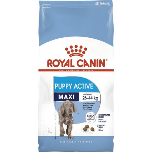 Royal Canin Maxi Junior Active - корм Роял Канин для активных щенков крупных пород