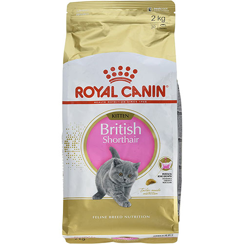 Royal Canin British Shorthair Kitten - корм Роял Канин для котят британских короткошерстных